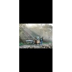 Cart on the Common