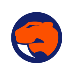 Southern Basketball Association