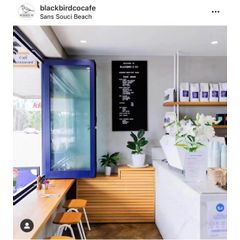 Blackbird and Co sans souci 